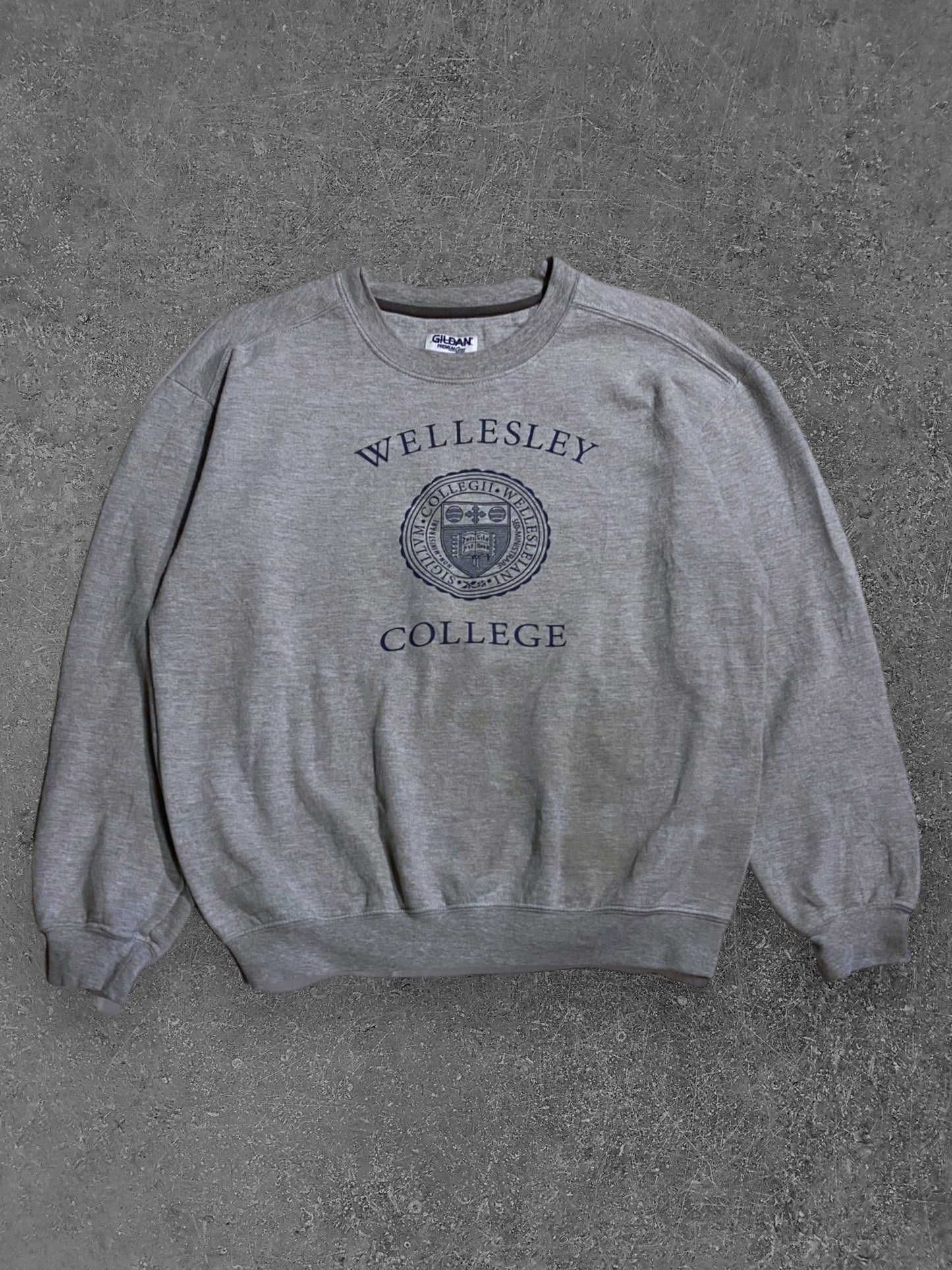 Wellesley college Paita (M)