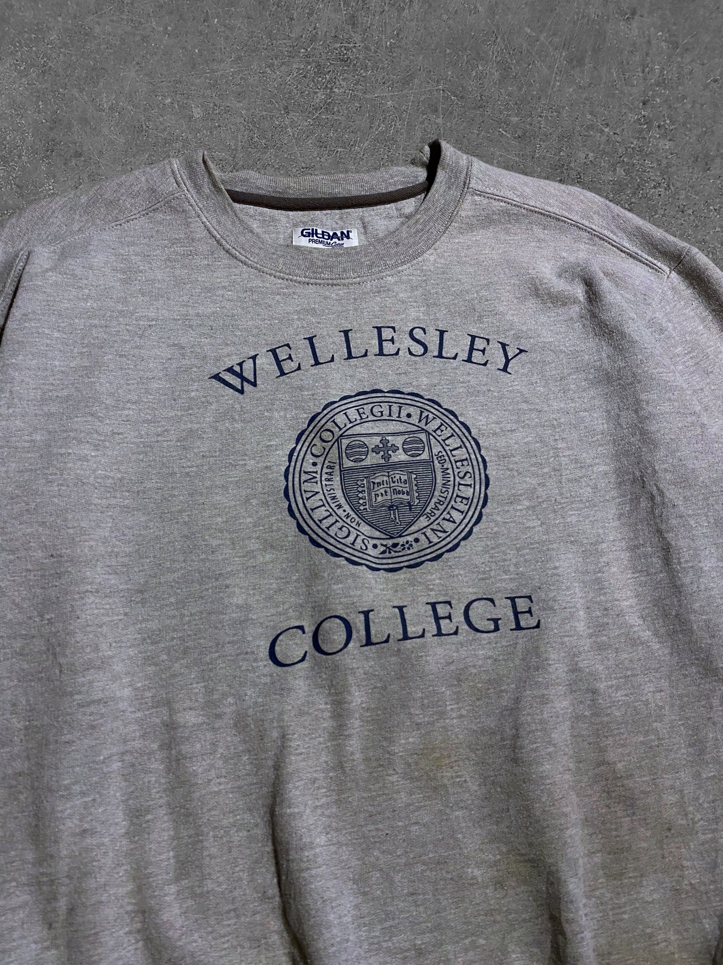 Wellesley college Paita (M)