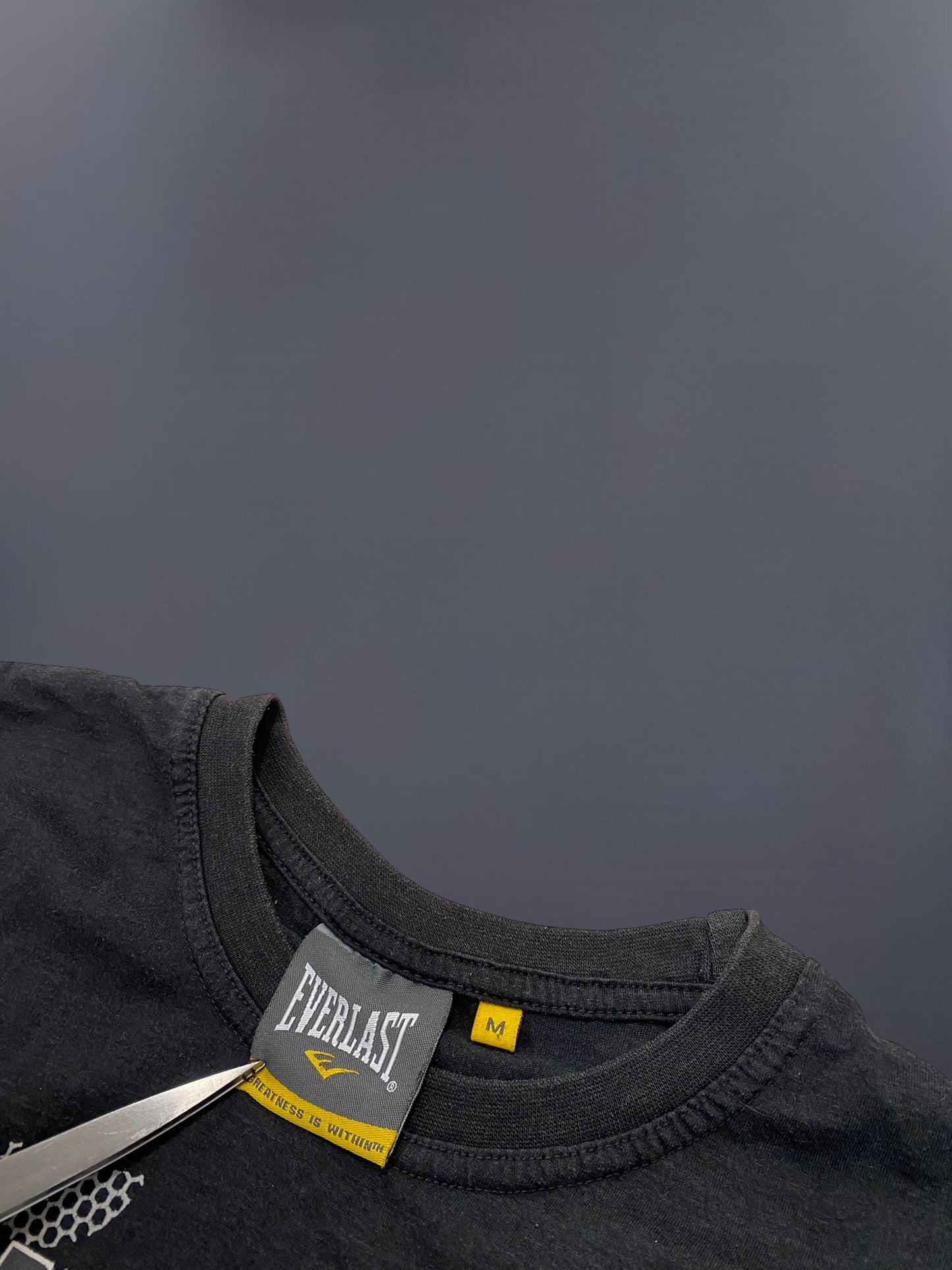 Everlast T-Paita (M)