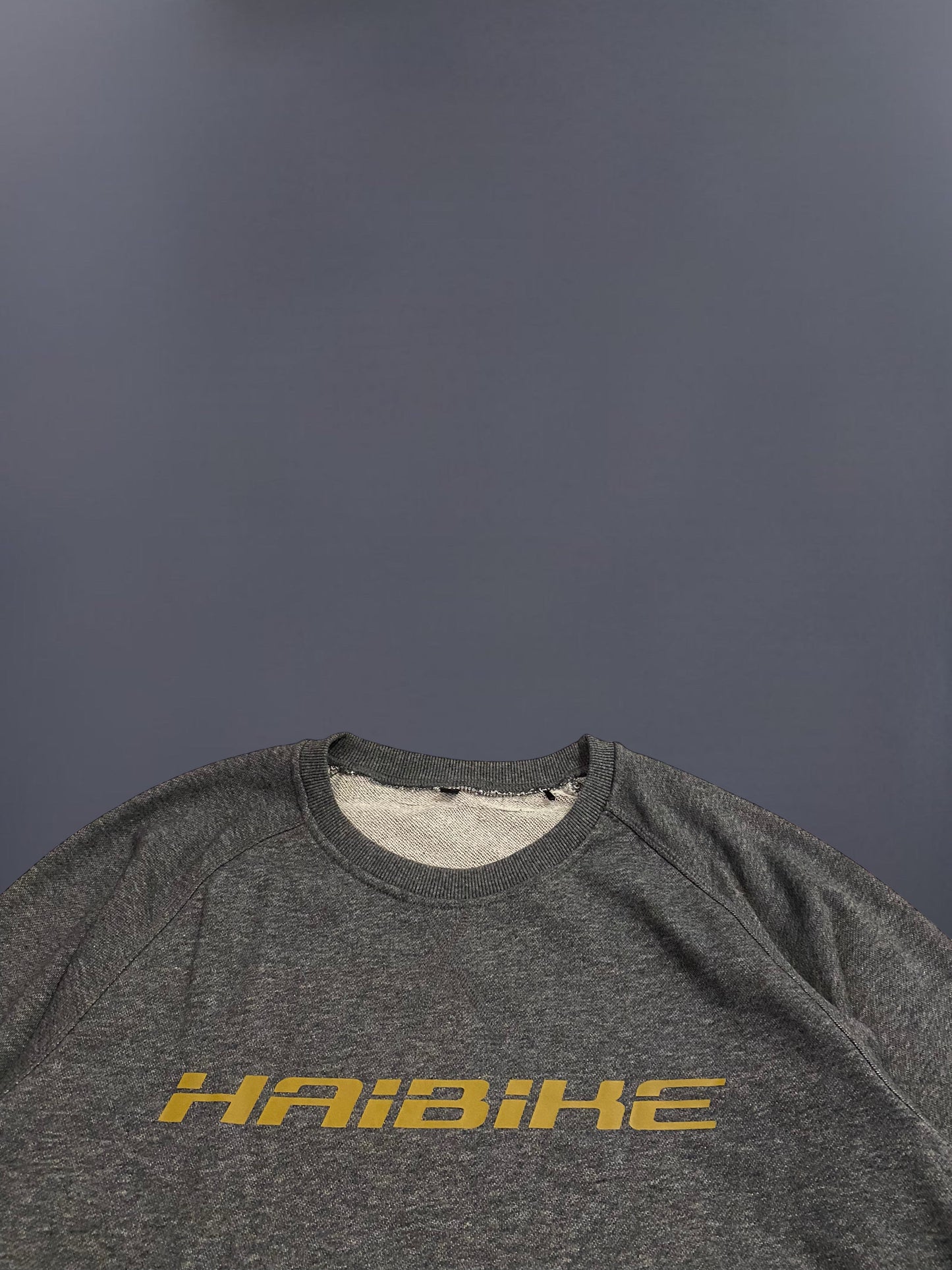 Haibike College (XL)