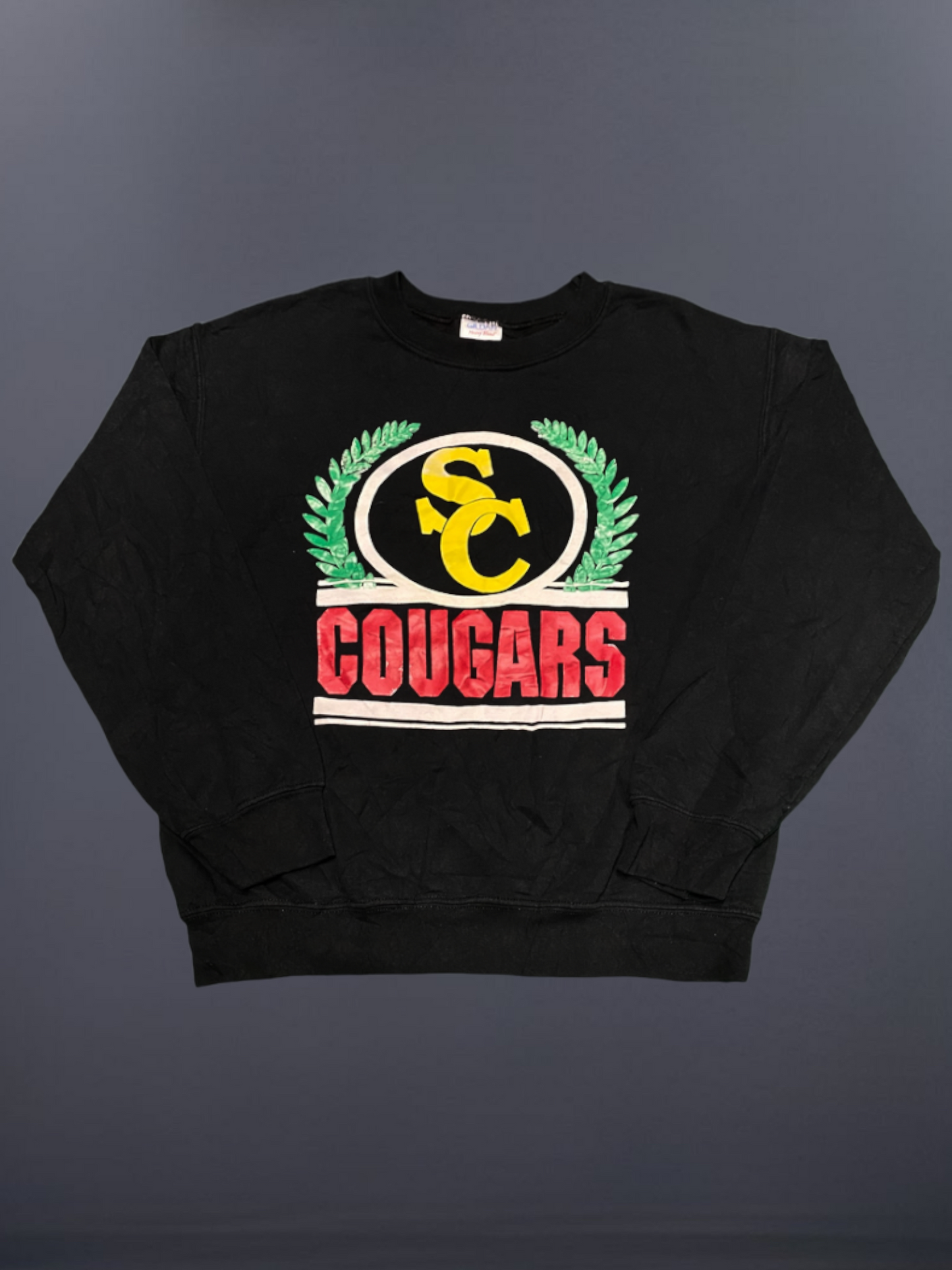 Cougars College (S)
