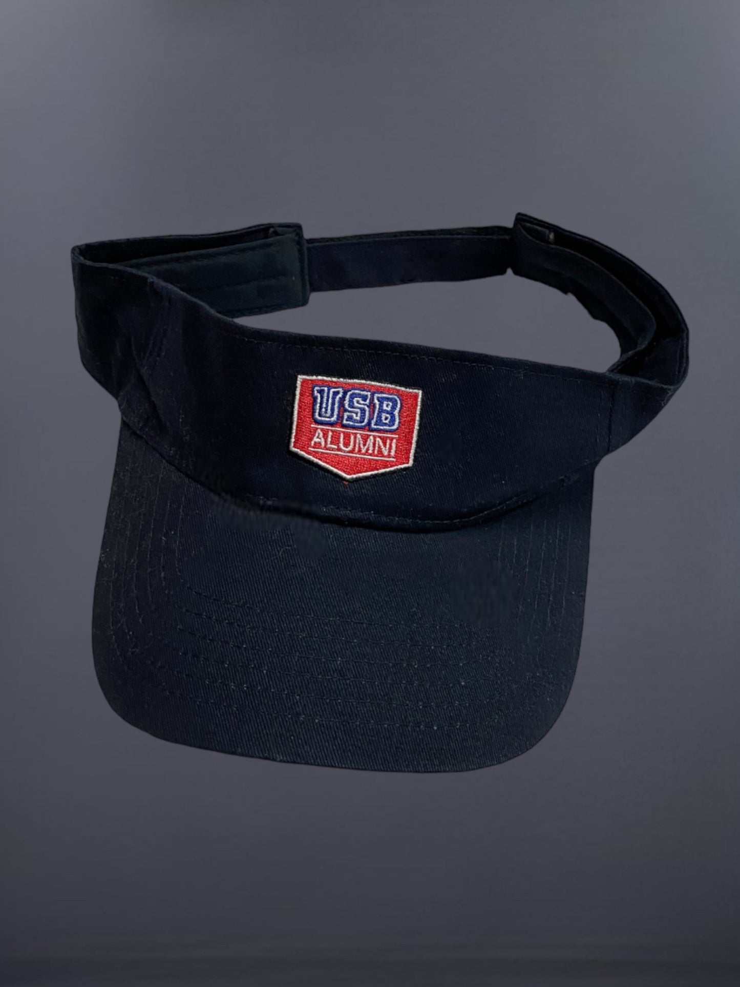 USB Alumni Lippis
