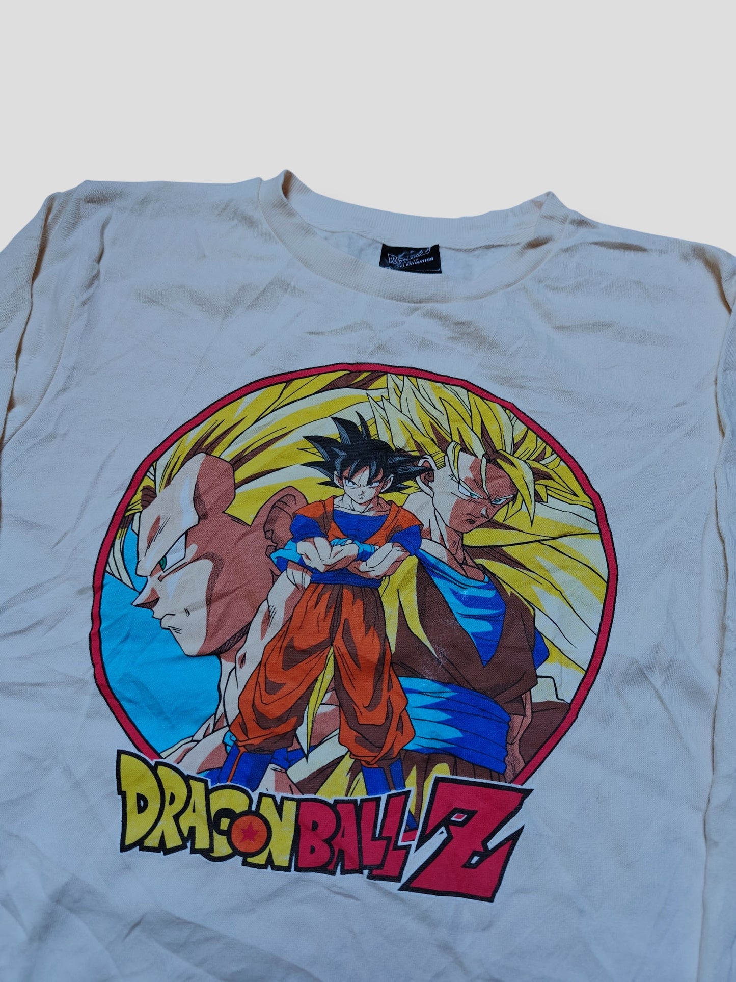Dragon Ball Z College (S)