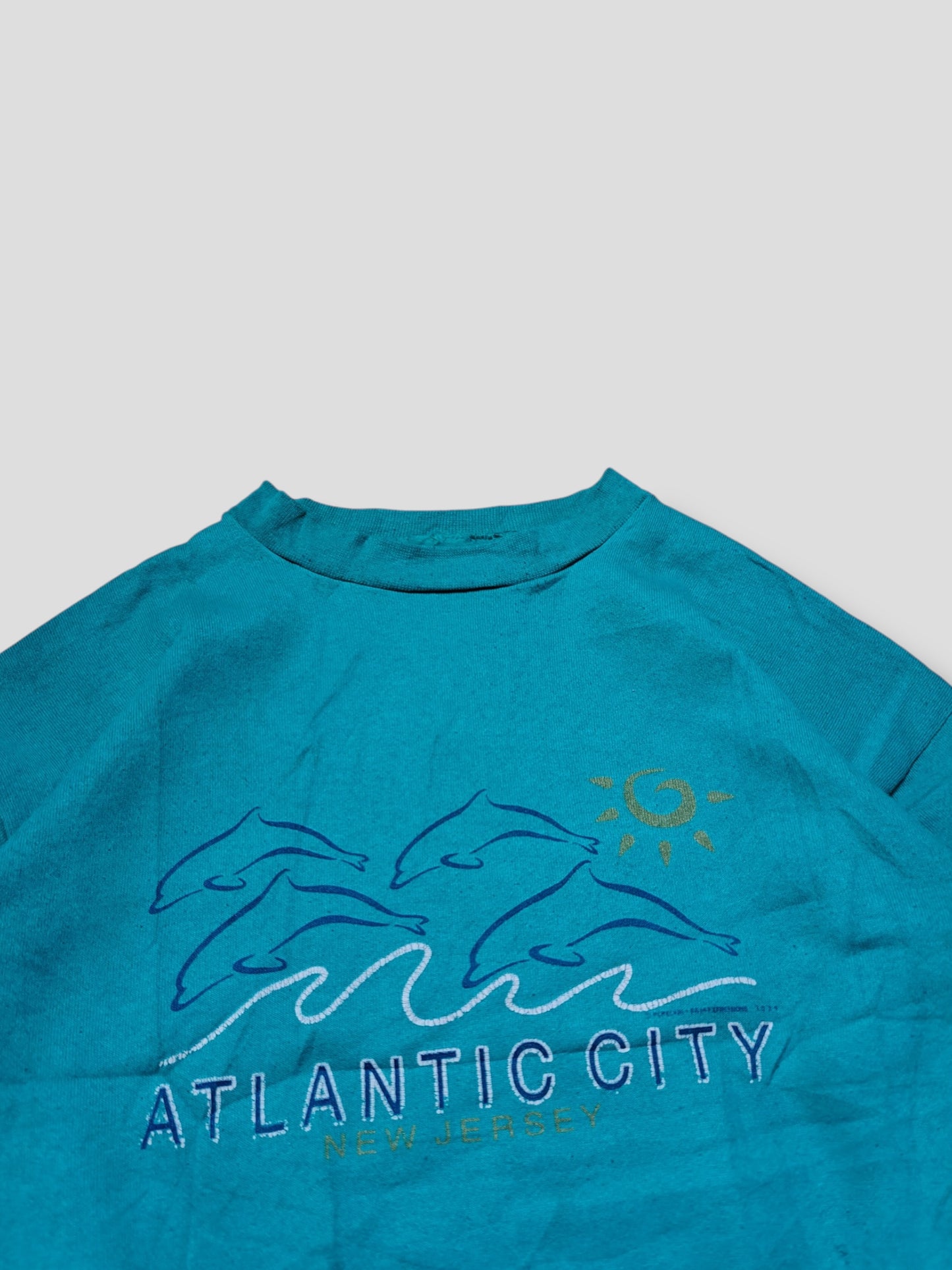 Atlantic City College (M)